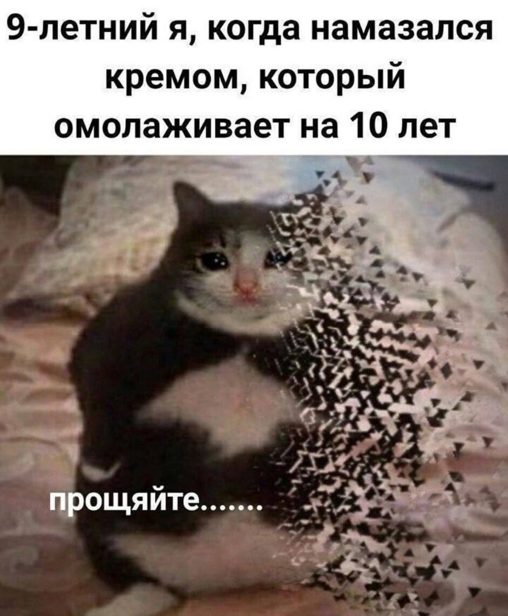 Мем с котом, намазавшимся омолаживающим кремом