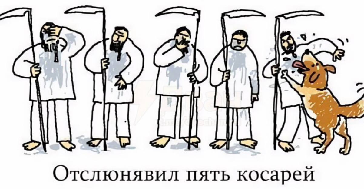 Мем с собакой и косарями