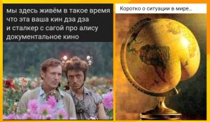 Это четыре явных признака того, что ваша кошка любит вас.
