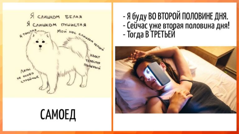За игрой слов - смех и искусство каламбуров