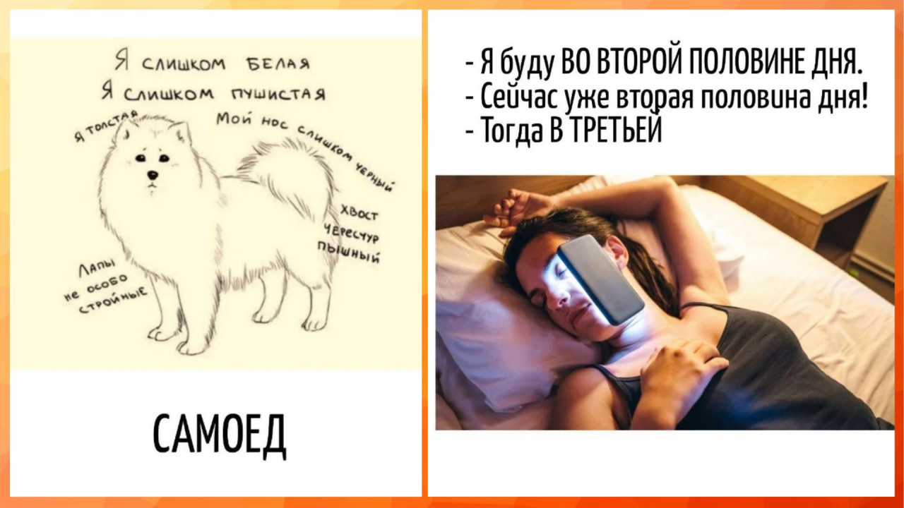 За игрой слов - смех и искусство каламбуров