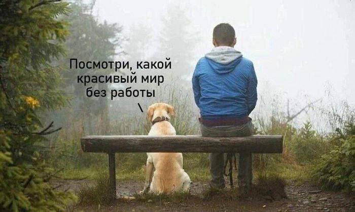 Смешные картинки и мемы про работу и красивый мир