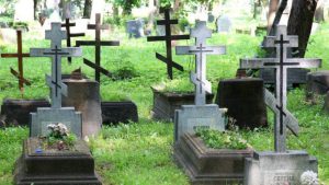 Ирония в Рижской думе: Ланге предстоит разбирать свою же «языковую войну»