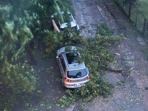 В Латгалии свадебный Porsche оказался перевозчиком нелегалов