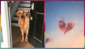 5 повседневных привычек, которые разрушают ваши волосы (и вы даже не подозреваете)