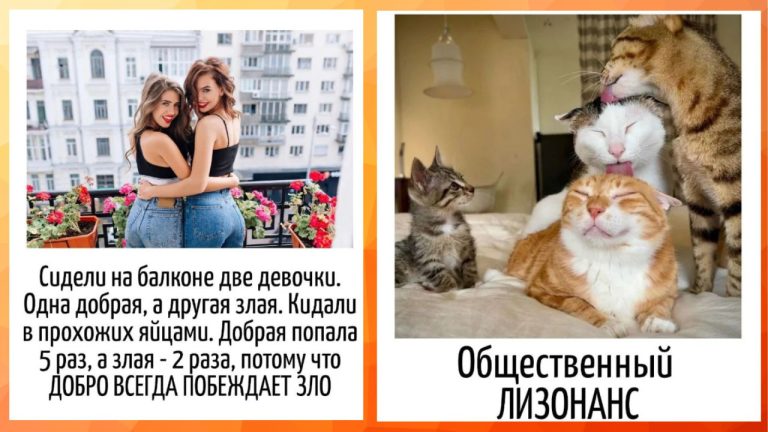 Юмор в языке: каламбуры и игра слов вам в ленту