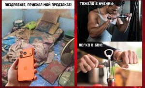 17 фото снятых с неожиданного ракурса в самый нужный момент