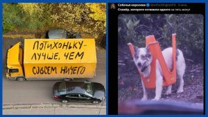 Почему ваша собака лает и портит вещи? Причина может вас удивить.