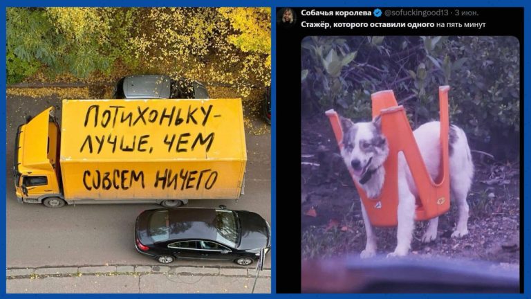 Смешные картинки и мемы про работу и стажер