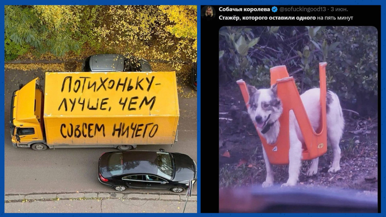 Смешные картинки и мемы про работу и стажер