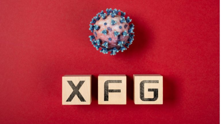 Названы симптомы нового штамма Covid XFG