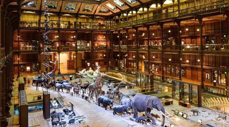 Ночное ограбление в Париже: из Национального музея похищены золотые слитки на 600 000 евро