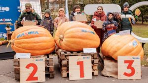 За полгода на рабочих местах произошло 8 смертельных и 82 очень тяжелых несчастных случая