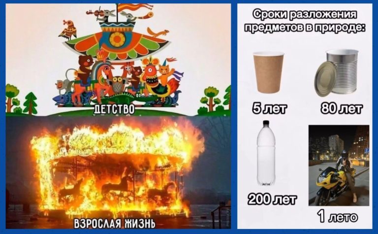 Смешные картинки с надписями и одно лето