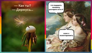 Исследования показывают: кошки предпочитают женщин мужчинам - вот почему