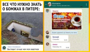 Выходные без препятствий: 4 знака зодиака, которые поймают волну успеха, несмотря на новолуние и солнечное затмение