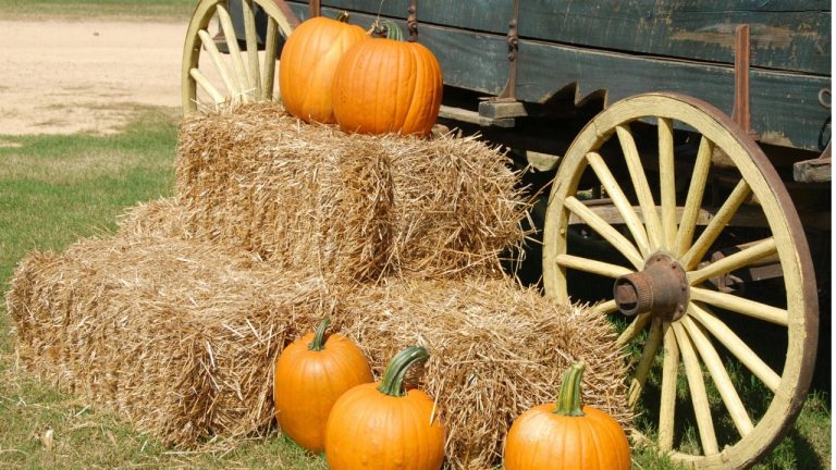 На следующей неделе Михайлов день отметят в Этнографическом музее: ярмарочные танцы и осенний суп