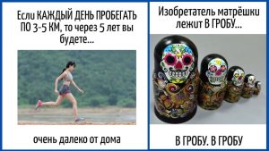 10 жестов, на которые кошки реагируют без вопросов: выучите язык, который понимает ваш питомец