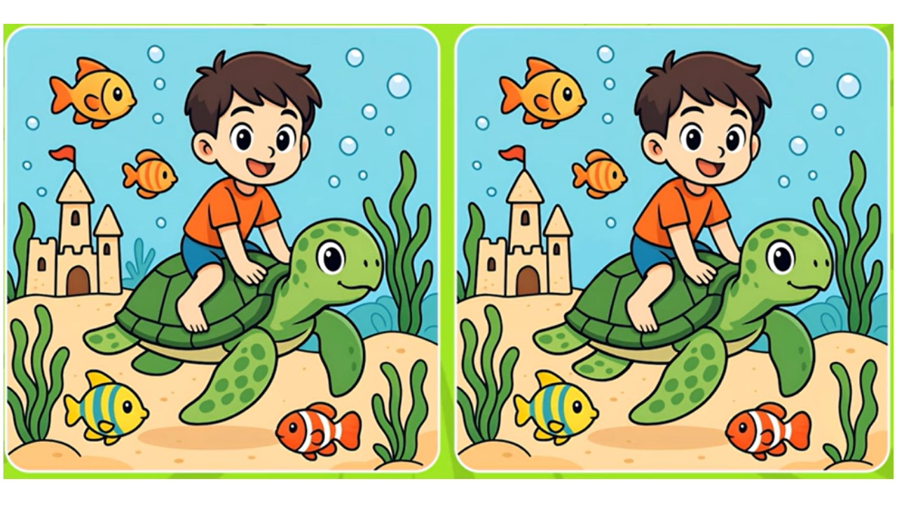 🐢 Подводная загадка: найдёте ли вы 3 отличия за 20 секунд?