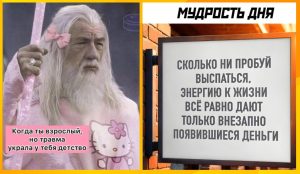 Стрельцы, Тельцы. Львы и Овны в гороскопе на пятницу 26 сентября
