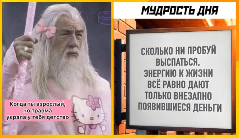 Смешные картинки с надписями и мудрость дня