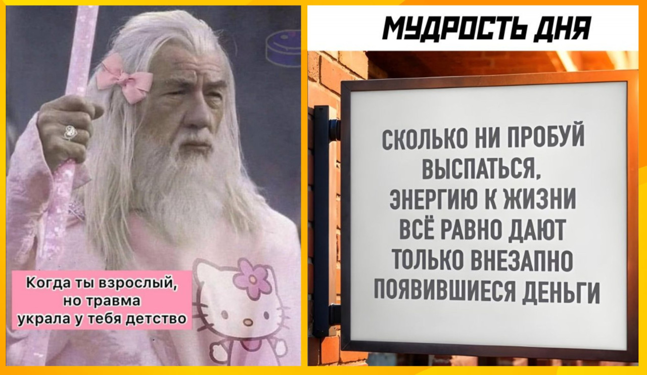 Смешные картинки с надписями и мудрость дня