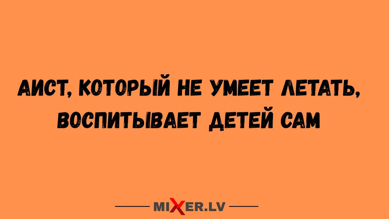 Юмор за день и аист