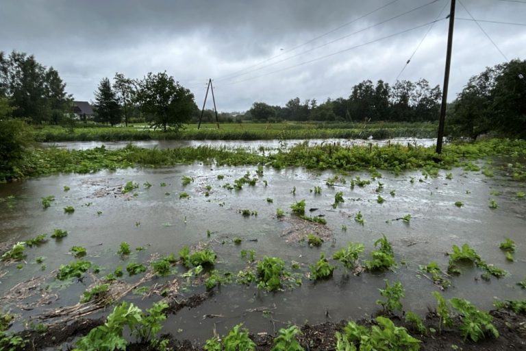 4,2 млн евро на поддержку латвийских фермеров - ЕС компенсирует ущерб из-за неблагоприятной погоды
