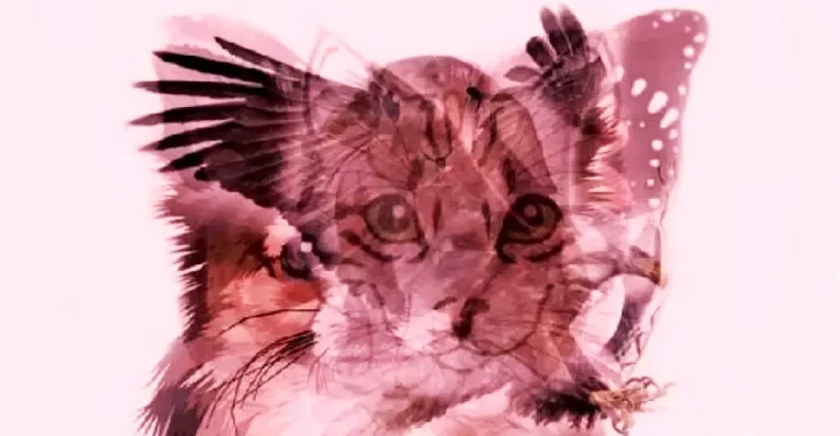 Визуальный тест на подсознание: мгновенная реакция и её значение