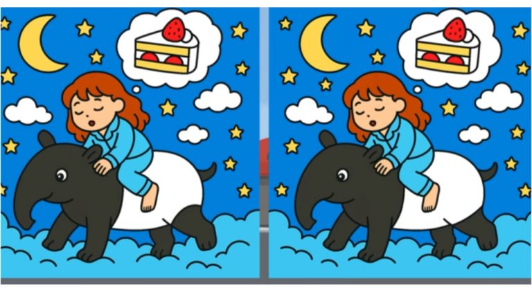 🌙 Сладкий сон или визуальная ловушка? Найдите 3 отличия за 20 секунд!