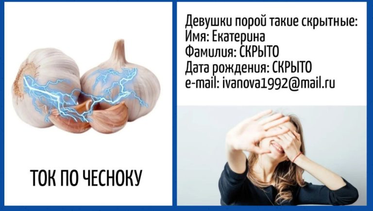 Игра слов: юмор, спрятанный в словесных головоломках