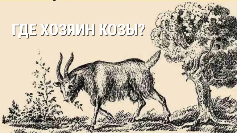 Видите мужчину на рисунке? Только 1% людей находят владельца козы за 5 секунд. Проверьте, входите ли вы в их число.
