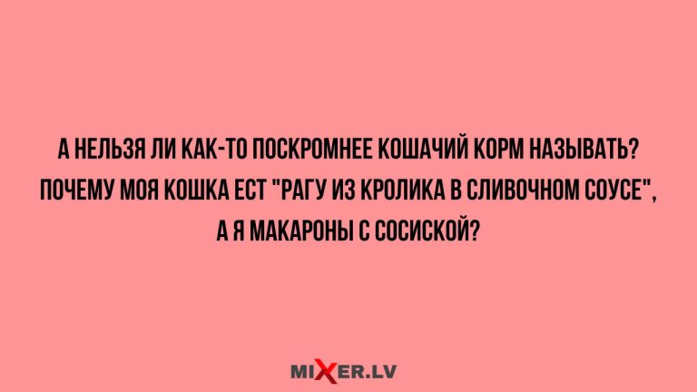 Юмор за день и кошачий корм