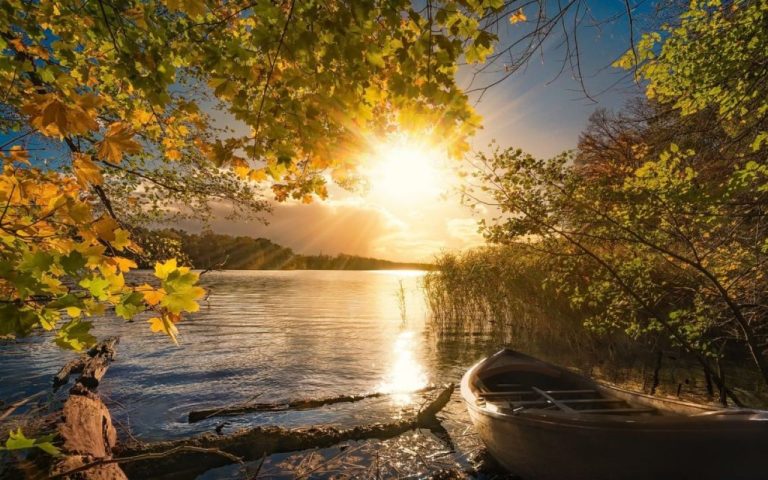 И никаких дождей! В первый день октября будет солнечно и сухо