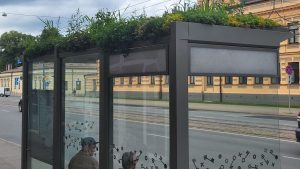 Отказ от мигрантов грозит Европе вымиранием. У Латвии - особое положение