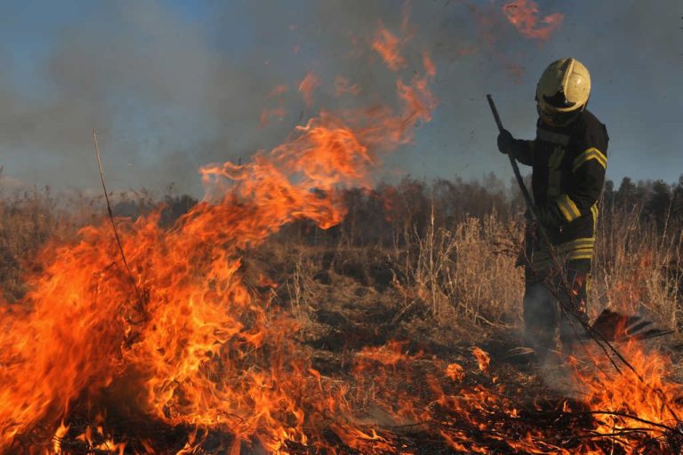 Сводка происшествий понедельника: 10 пожаров, 146 ДТП и 6 очень пьяных водителей