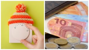На операцию Бетти из Слоки не хаватает 2 700 евро. Нужна помощь
