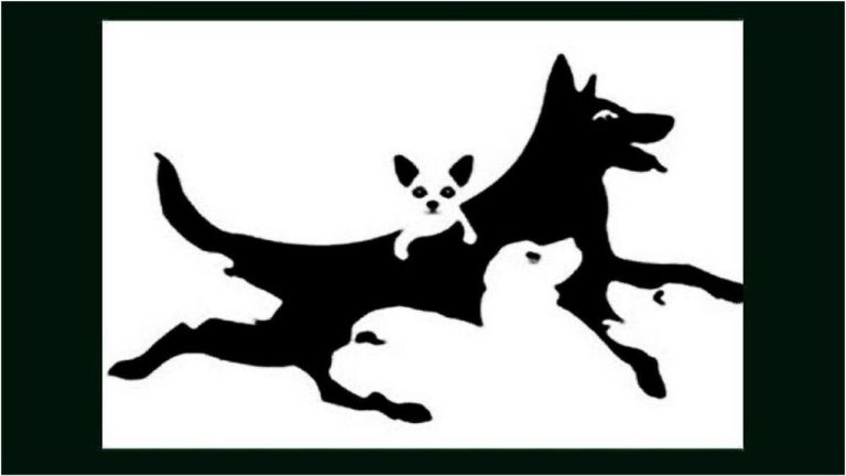 Узнайте за 5 секунд, кто вы и какой ваш ментальный возраст просто сосчитав собак на картинке