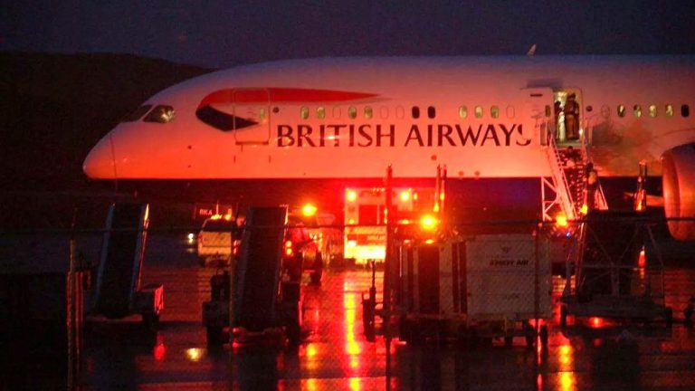 Самолёт рейса Стамбул–Лондон экстренно сел в Румынии