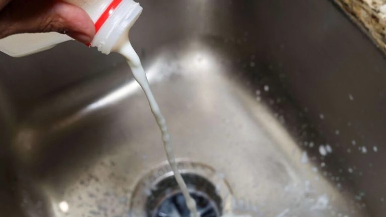 Причина, по которой никогда не следует выливать молоко в раковину