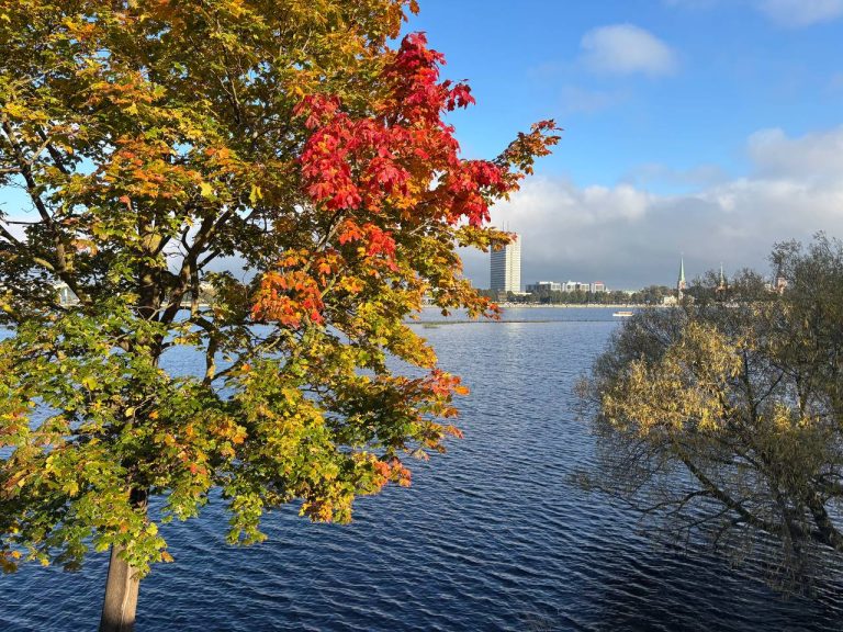 Латвию на выходных накроют дожди и порывистый ветер, но местами выглянет солнце