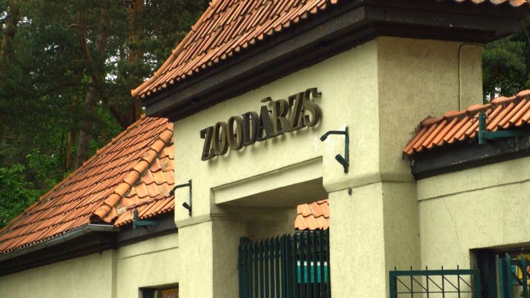 В день рождения зоопарка, 12 и 13 октября, людей с названиями животных в имени и фамилии пропустят бесплатно