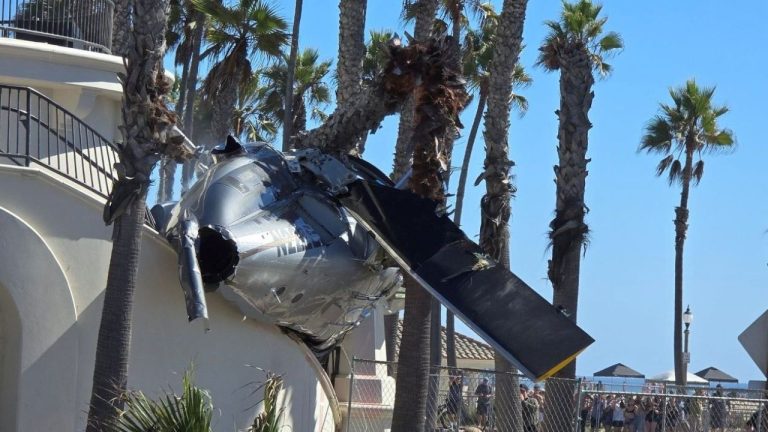 В Южной Калифорнии вертолет упал прямо на пляж и застрял в пальмах (видео)