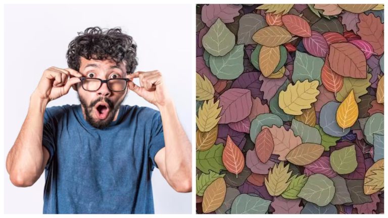 Найди затаившуюся лягушку: только внимательные разгадают эту загадку с первого взгляда