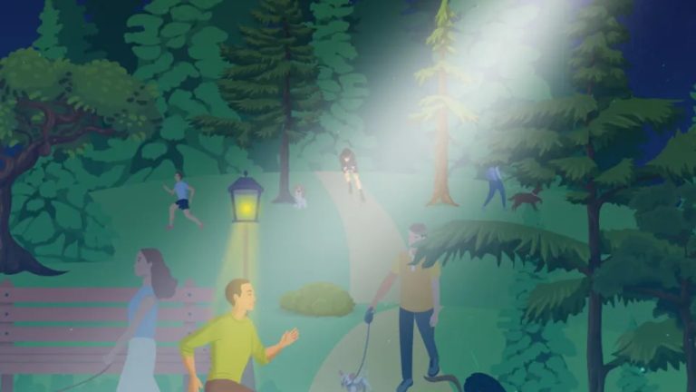 Охота на потеряшек: сможете ли вы найти всех собак в ночном парке?