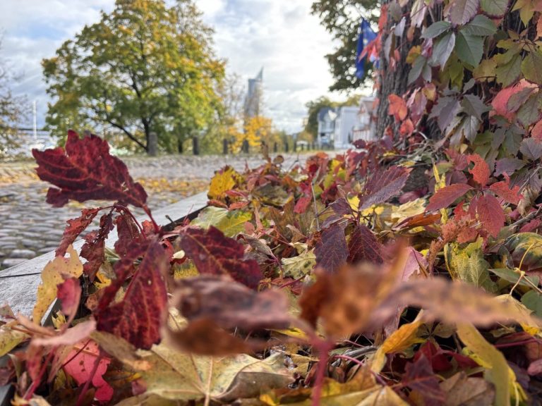 Северный ветер и кратковременные осадки будут сопровождать латвийцев во вторник
