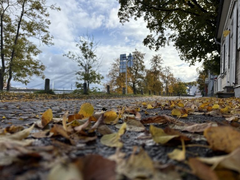 Холодный воздух с севера принесёт в Латвию прохладные, но солнечные выходные