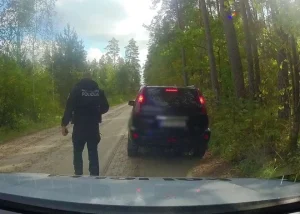 В Риге бушует сильный ветер, рижан просят не посещать парки и кладбища