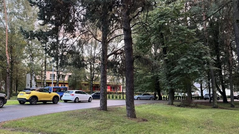 Rīgas meži возобновляет работы по благоустройству ландшафта в Межапарке