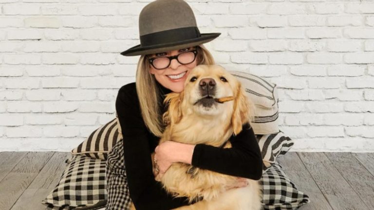 Золотистый ретривер Дайан Китон Реджи унаследовал миллионы